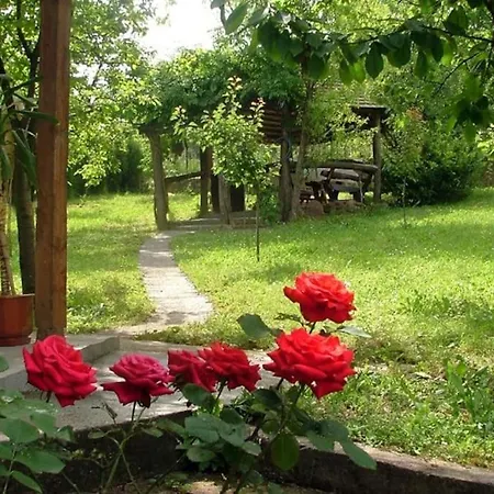 Vikendica Jasmina, Novi Sad, Fruska Gora, * Novi Ledinci