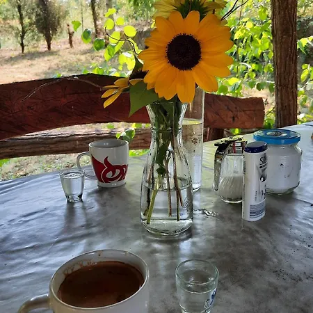 Vikendica Jasmina, Novi Sad, Fruska Gora, Vakantiehuis Novi Ledinci